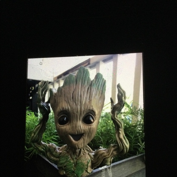 Grootplanter - Picture 2 of 3